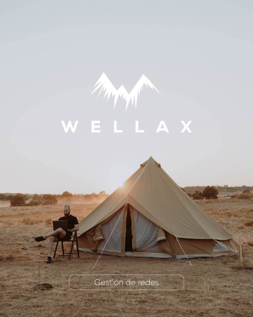 Gestión de redes - Wellax